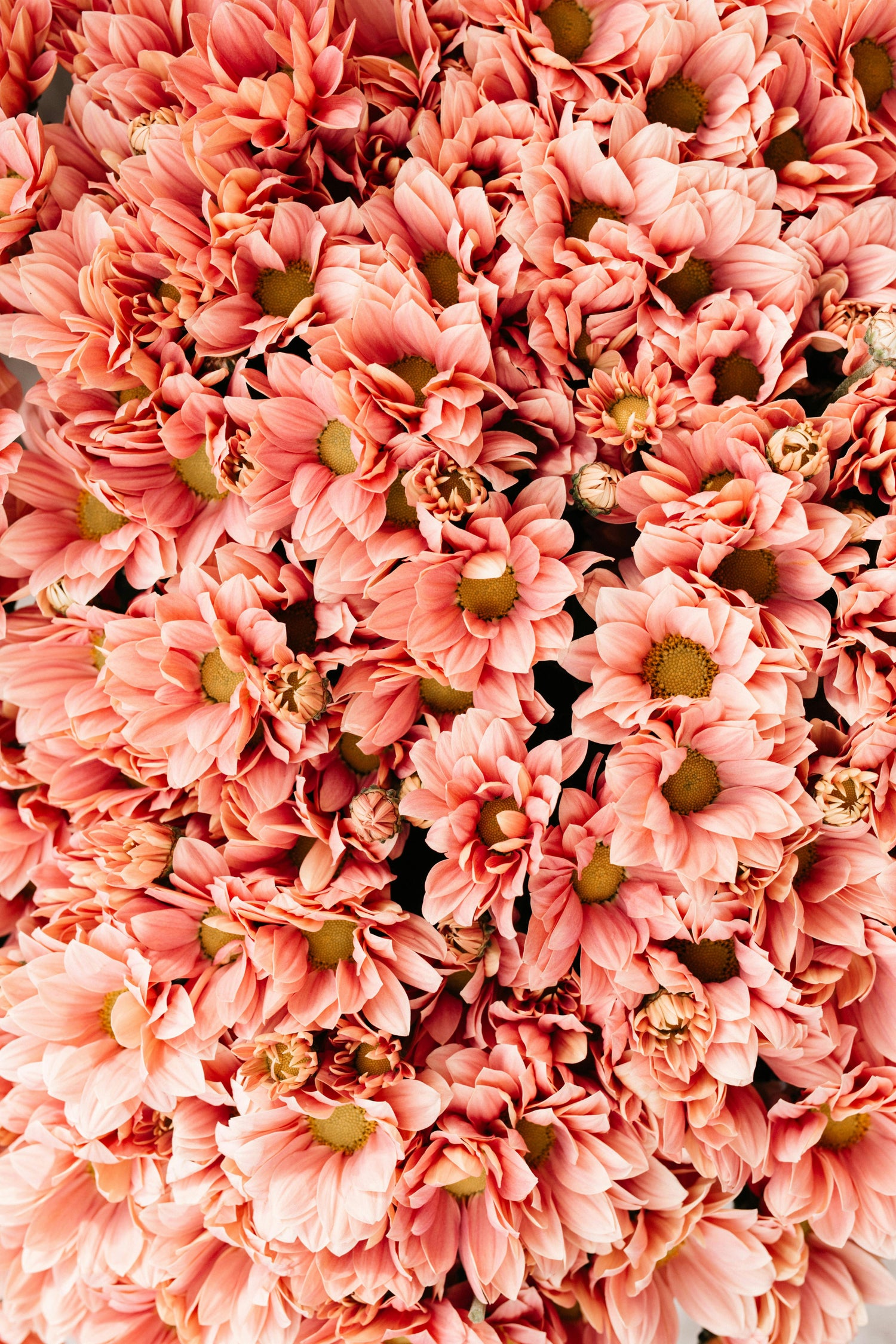 Les Floraux