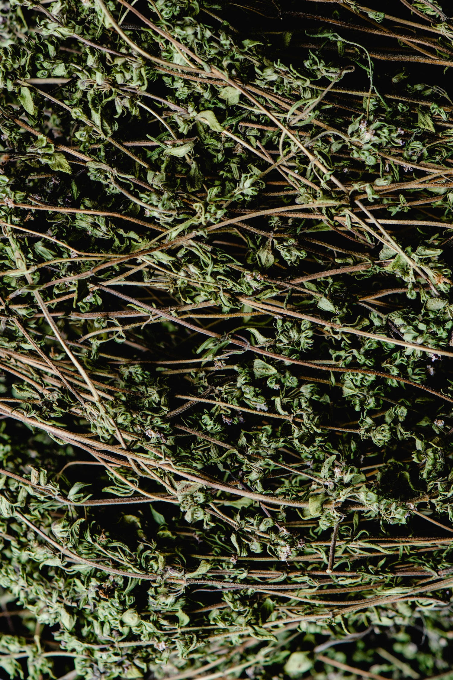 Les Aromatiques